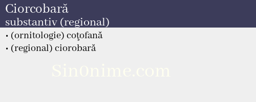 Ciorcobară, substantiv (regional) - dicționar de sinonime