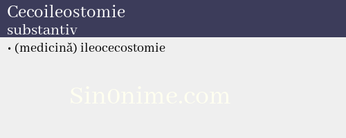Cecoileostomie, substantiv - dicționar de sinonime