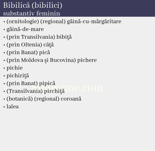 Bibilică (bibilici), substantiv feminin - dicționar de sinonime